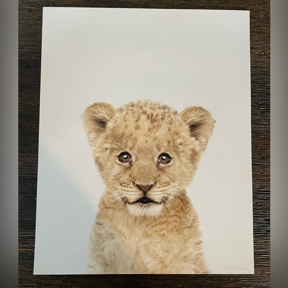 8x10 in. Safari Baby Animals Nursery Wall Decor, 6 Pictures - Picture 5 of 12